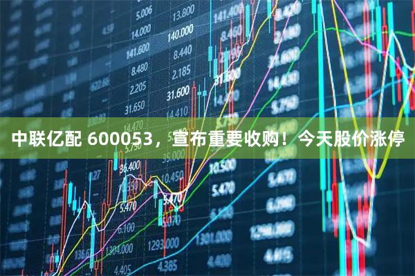 中联亿配 600053，宣布重要收购！今天股价涨停
