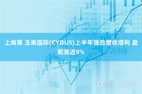 上尚策 玉柴国际(CYDUS)上半年强劲增收增利 盘前涨近9%