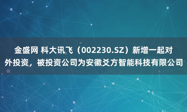 金盛网 科大讯飞（002230.SZ）新增一起对外投资，被投资公司为安徽爻方智能科技有限公司